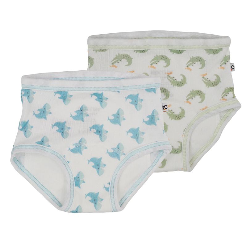Training Pants - 2 Pack