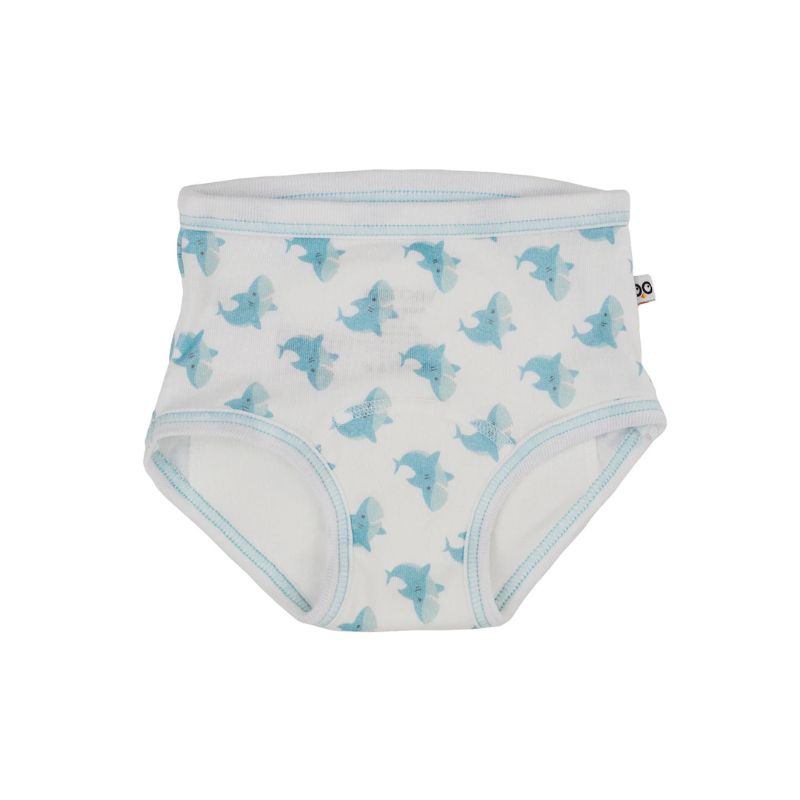 Training Pants - 2 Pack