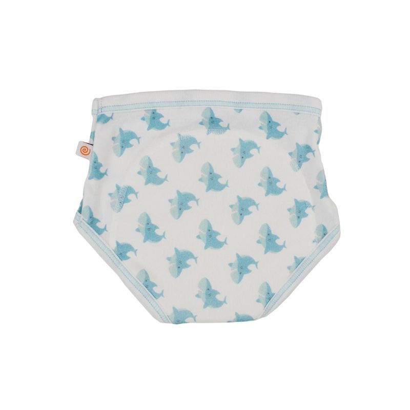 Training Pants - 2 Pack