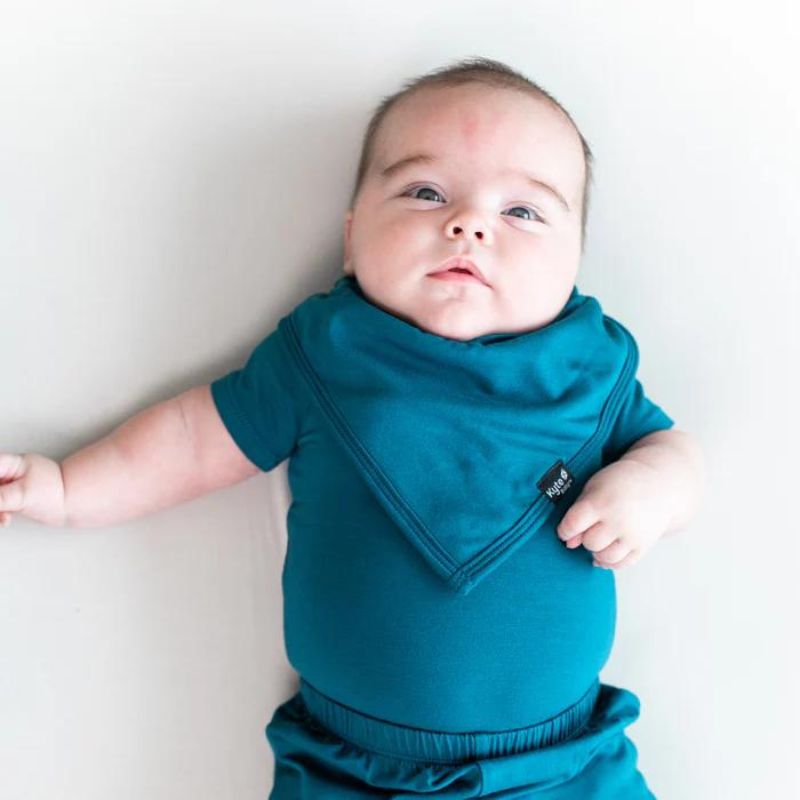 Baby Bib