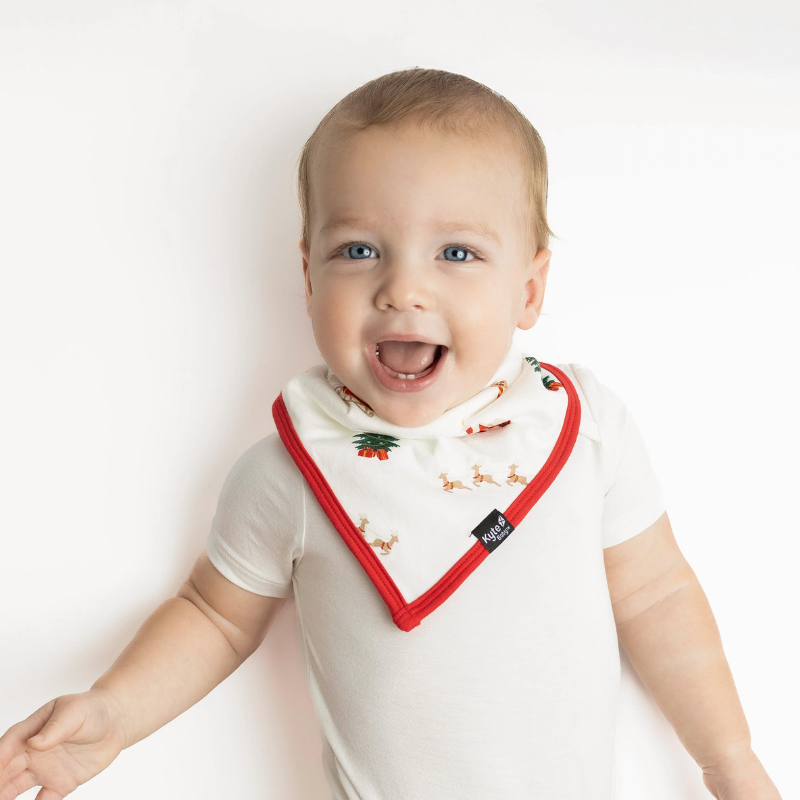 Baby Bib