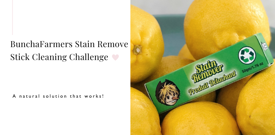 BunchaFarmers Stain Remove Stick Cleaning Challenge