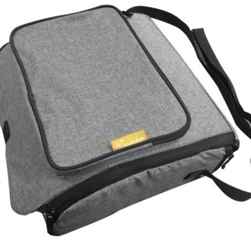 Grab 'N Go Booster Seat