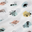 Watercolour Critters