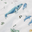 Whales
