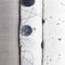 Planetary 2