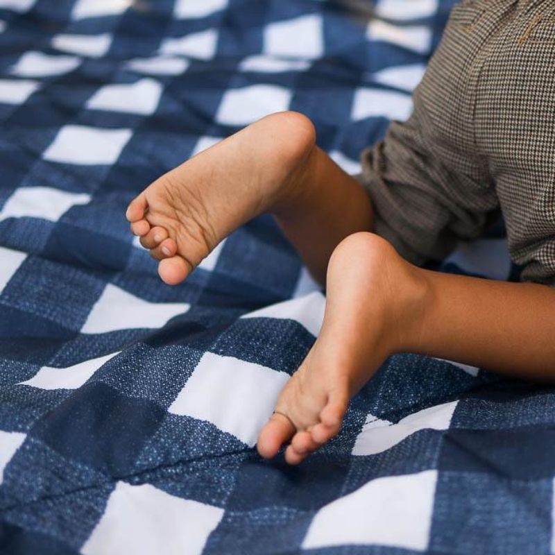 Outdoor Blanket - (5 x 7)  Navy Plaid