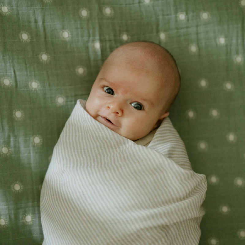 Organic Cotton Muslin Swaddle Blanket