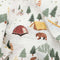 Alpine Adventure