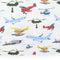 Air Show