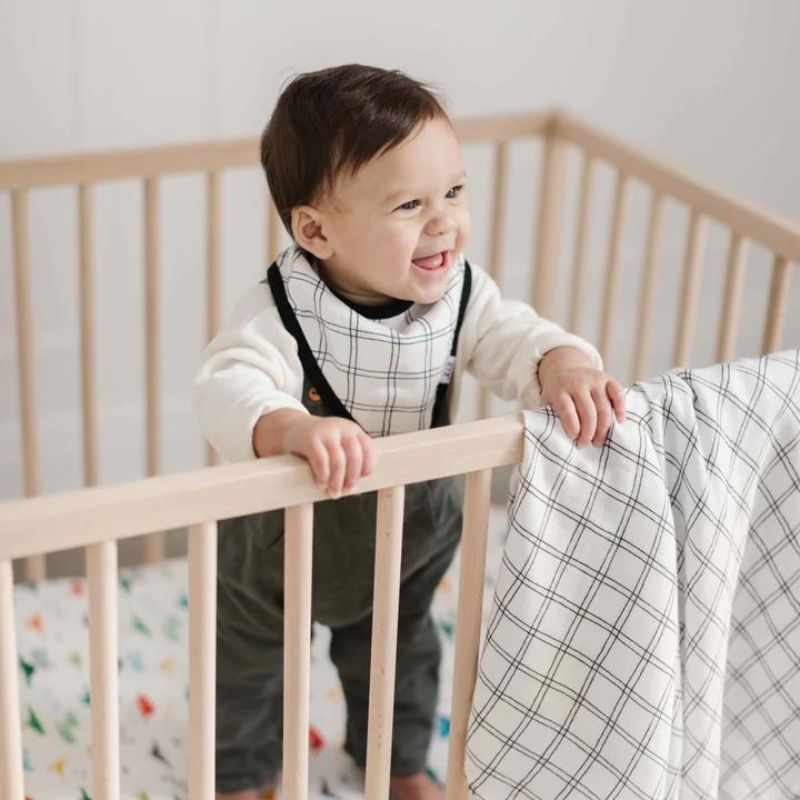 Muslin Swaddle Set - 2 Pack Modern Dino & Grid
