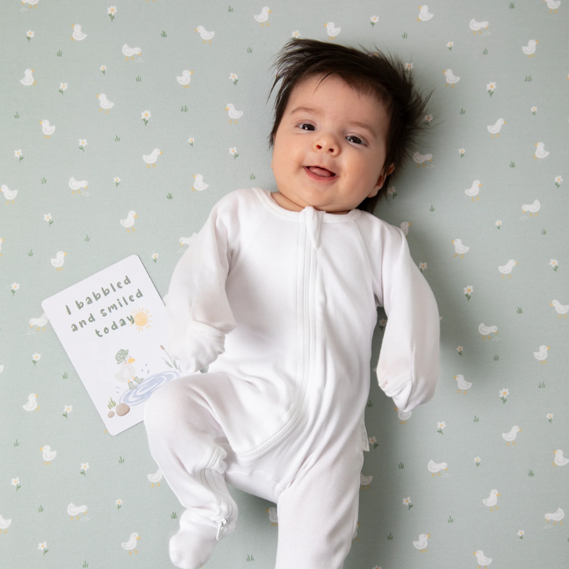 Cotton Jersey Fitted Crib Sheets