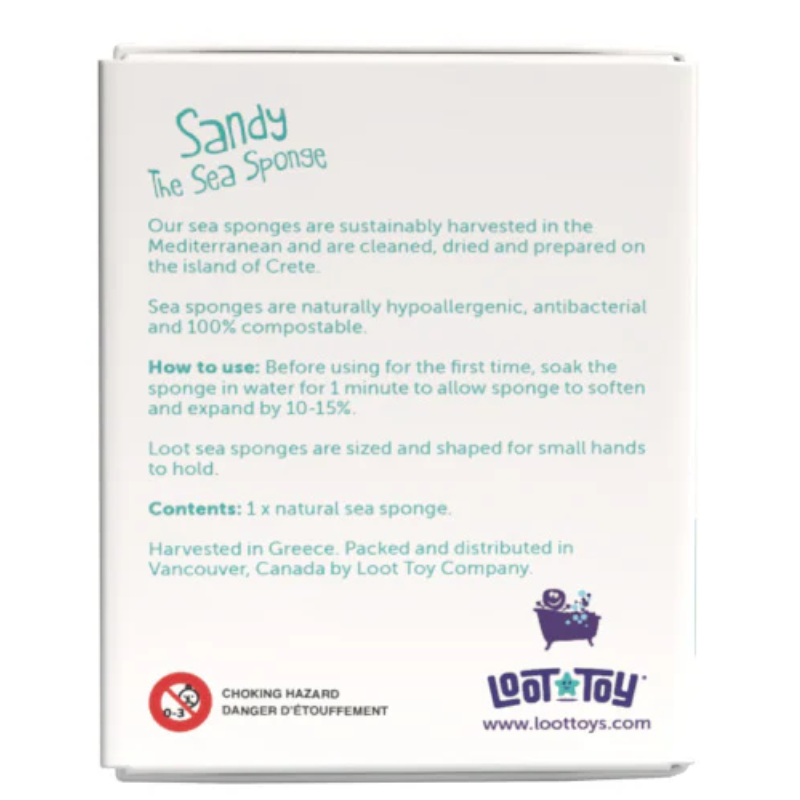 Sandy The Sea Sponge