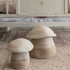 Mushroom Basket Large