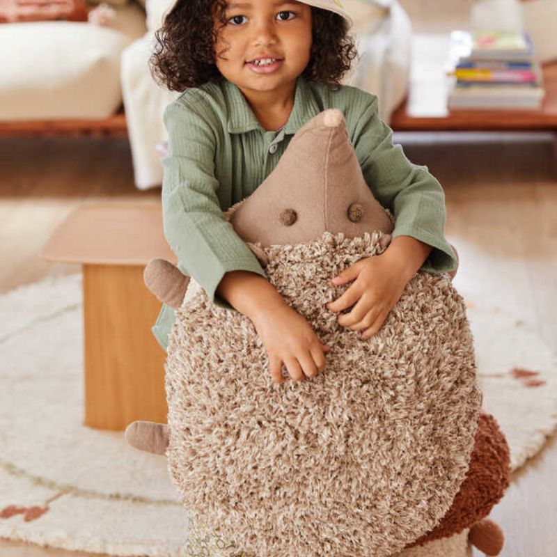 Hedgehog Floor Cushion