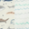 Sharks