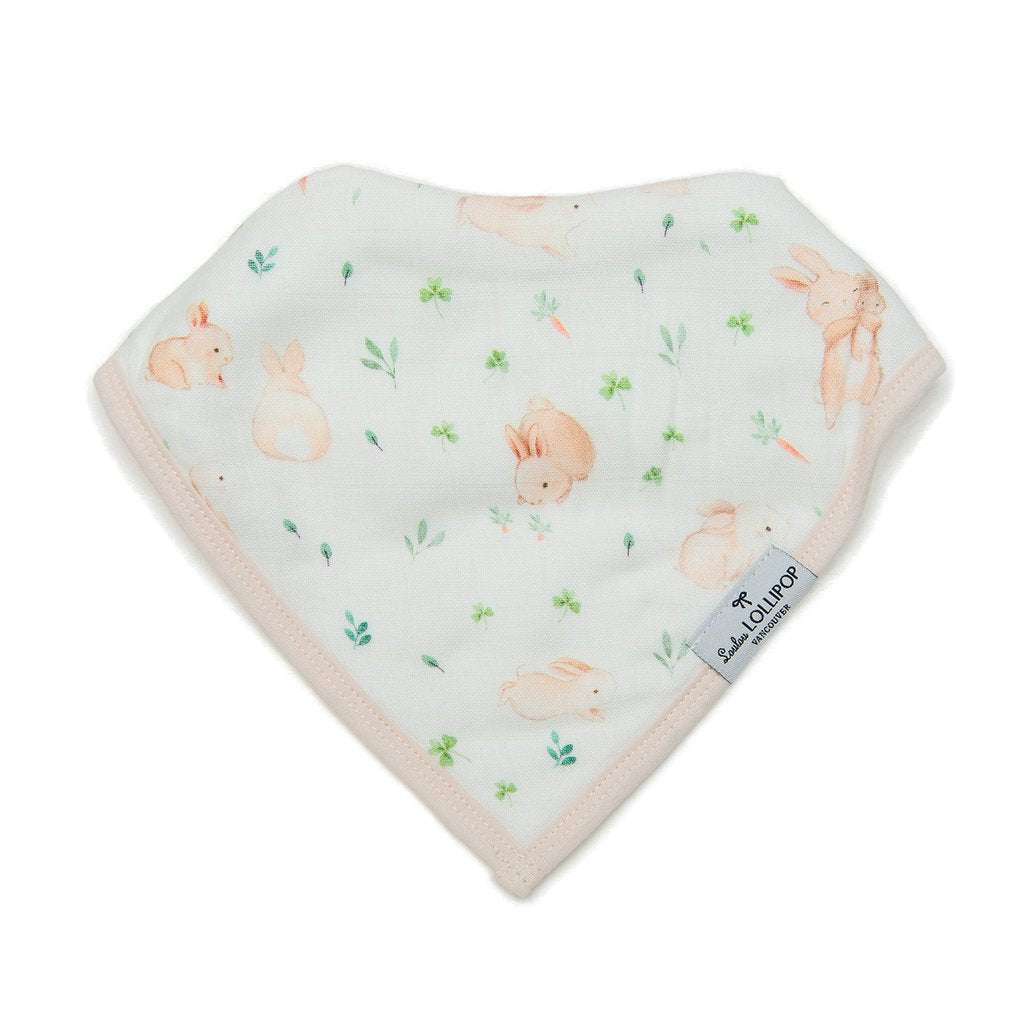 Muslin Bandana Bib Set - 2 Pack Bunny Meadow