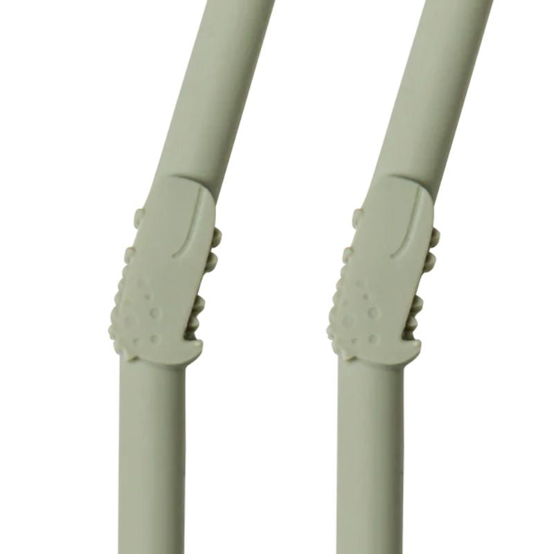 Born to be Wild - 2 Pack Kids Silicone Straws Sage Alligator