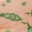 Pea