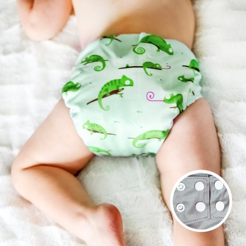 Pocket Diaper Chameleon