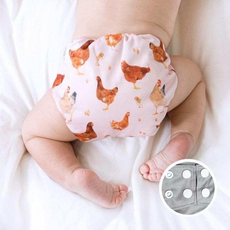 Pocket Diaper Chicken