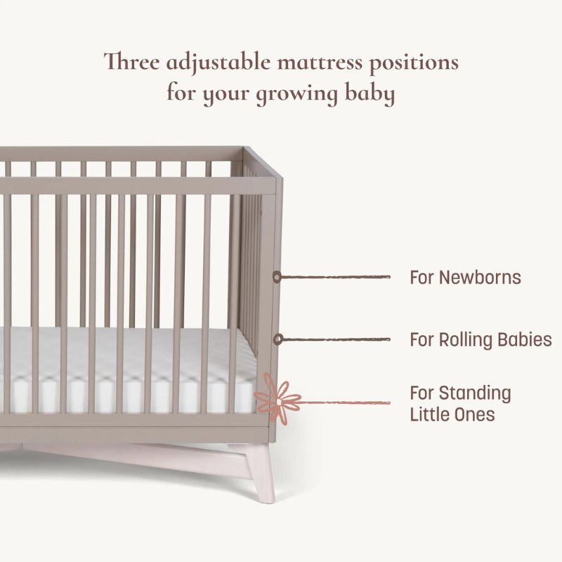 Pala 4-in-1 Convertible Crib
