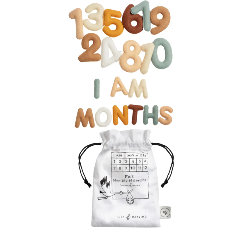 Monthly Milestone Baby Felt Letters - Neutral