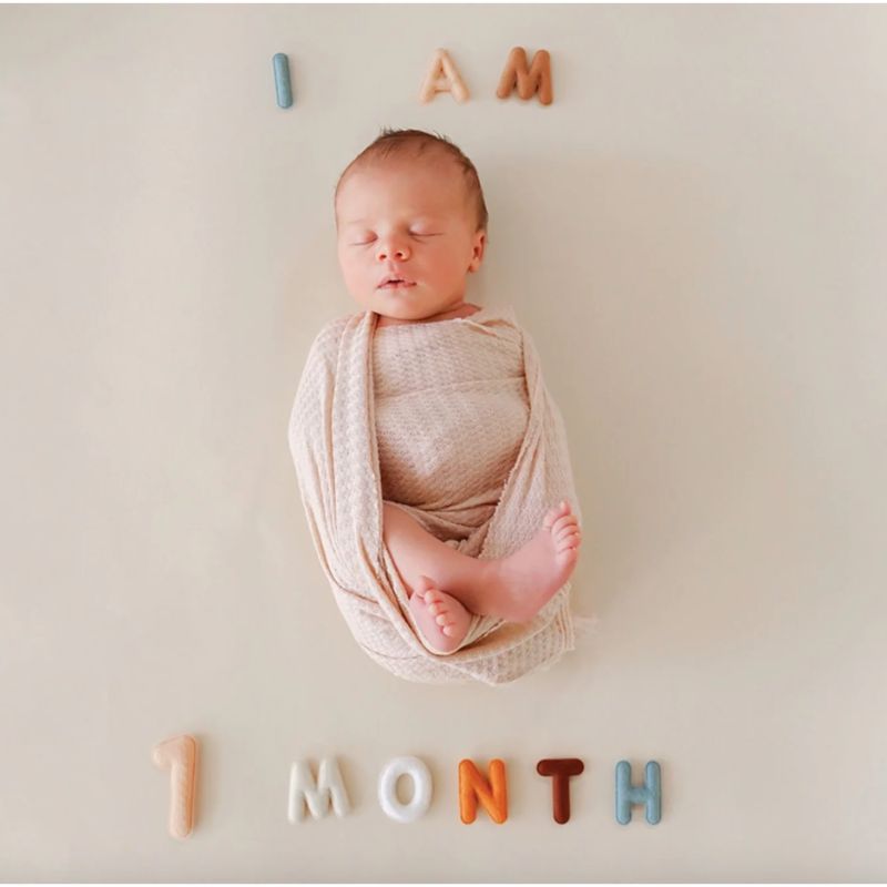 Monthly Milestone Baby Felt Letters - Neutral