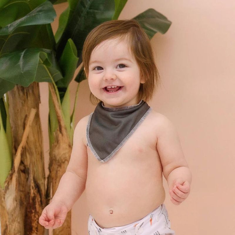 Reversible Drool Bib