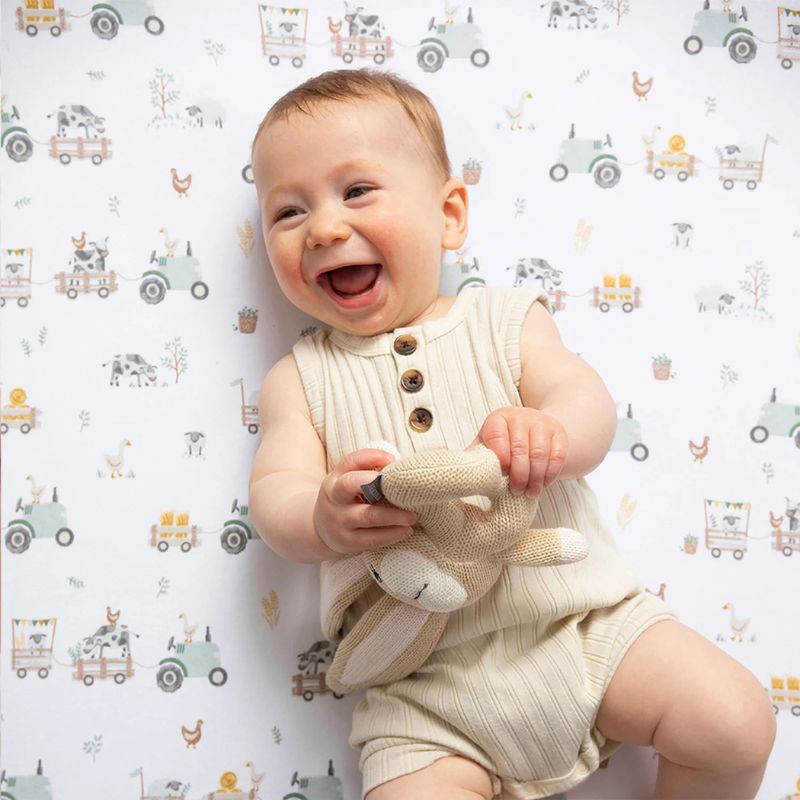 Cotton Jersey Fitted Crib Sheets