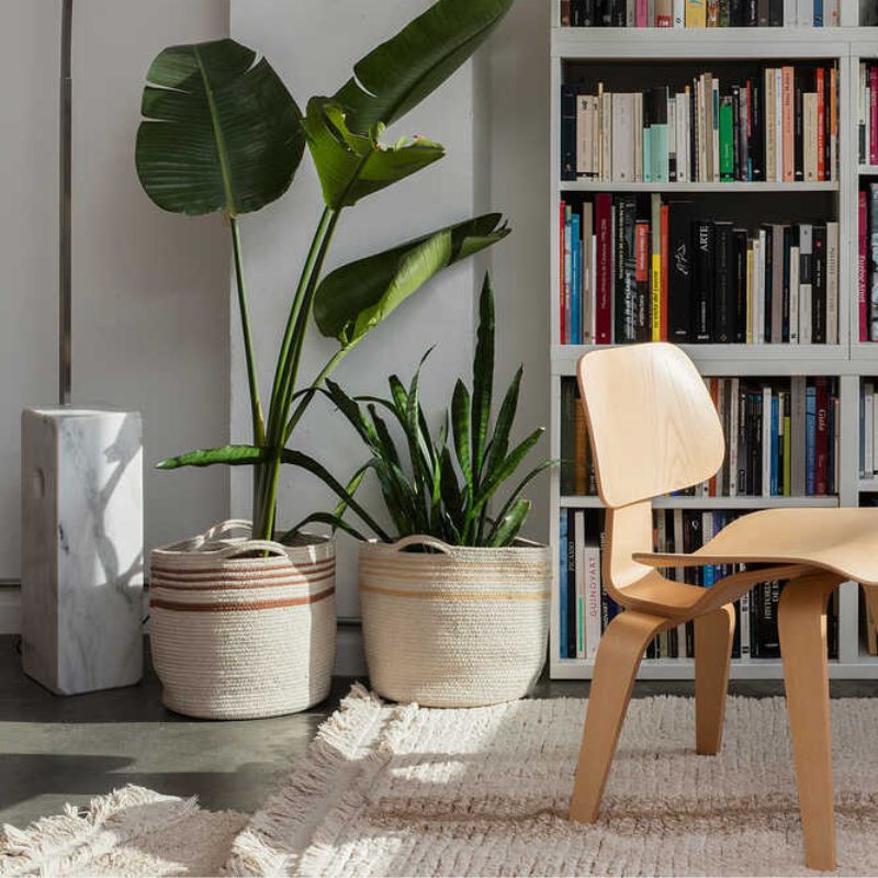 Storage Basket Twin - Amber