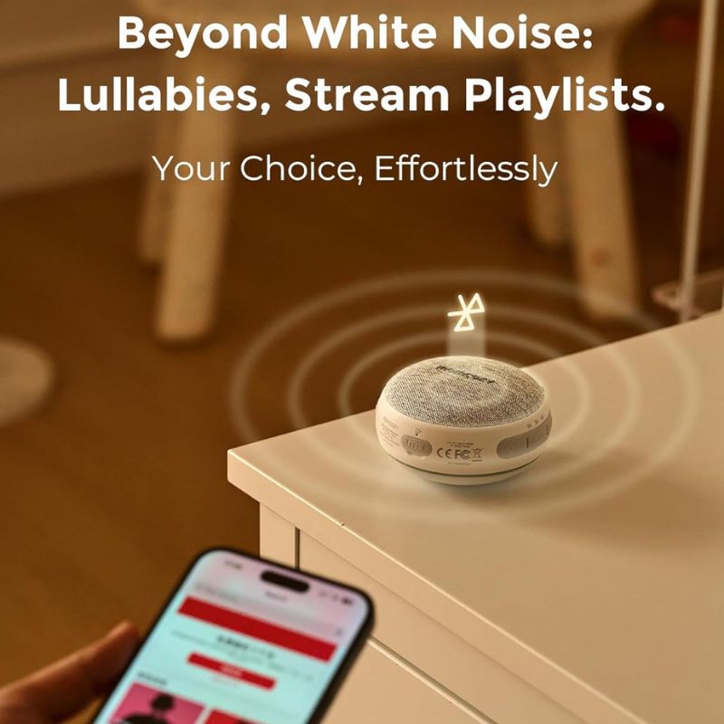 Portable Sound Machine