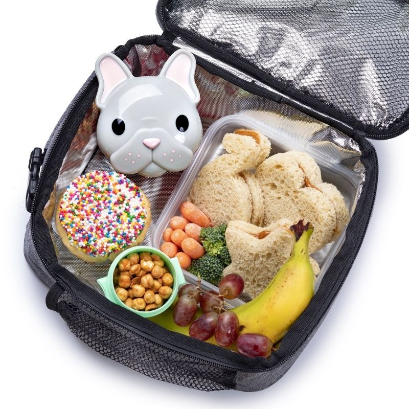 Animal Snack Containers