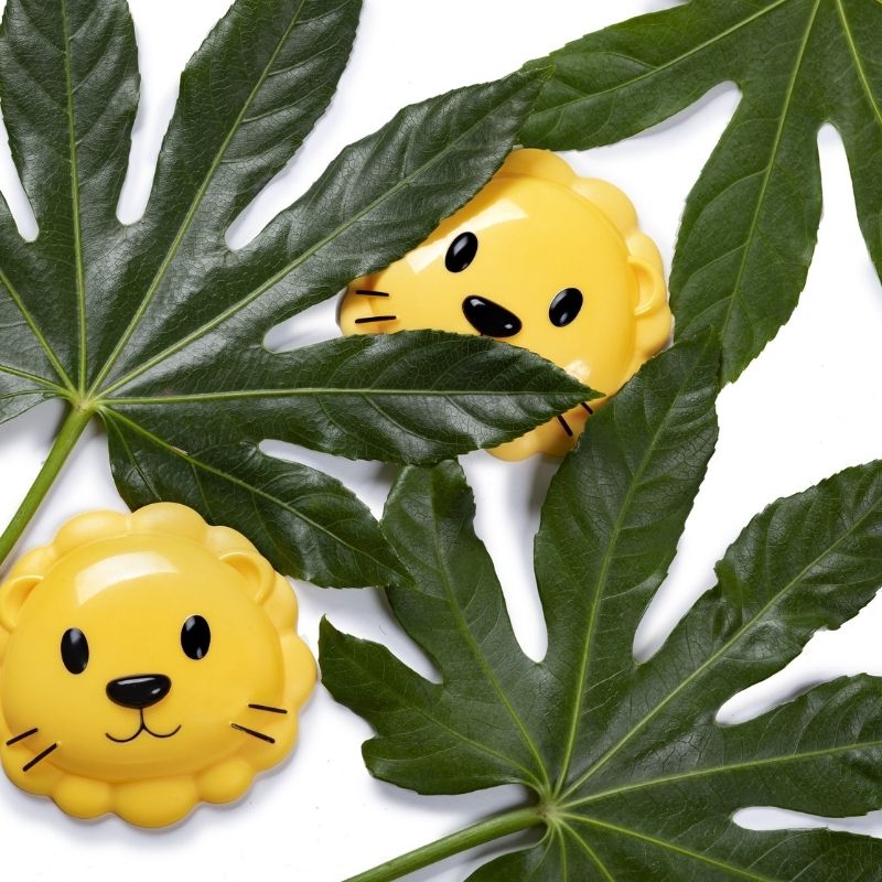 Animal Snack Containers Lion