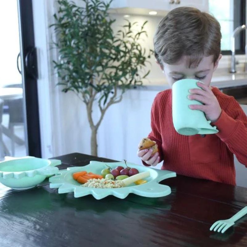 Cellulose Feeding Set - 5 Piece Dinosaur