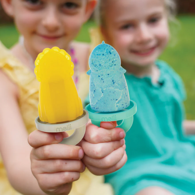 Animal Ice Pops with Tray - 6 Pack