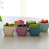 Snap & Go Pods