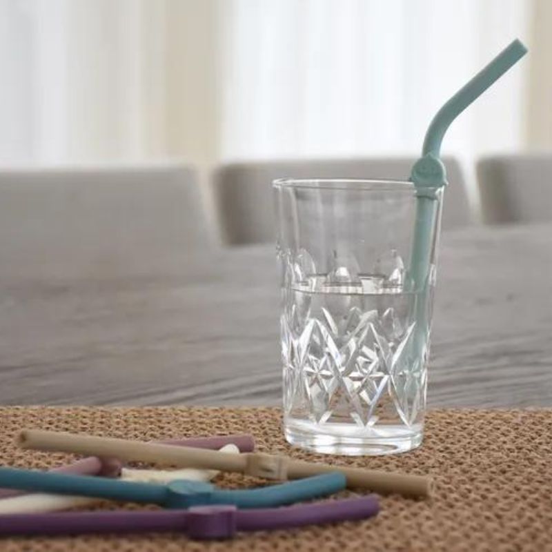 Pailles en silicone pour animaux avec brosse de nettoyage