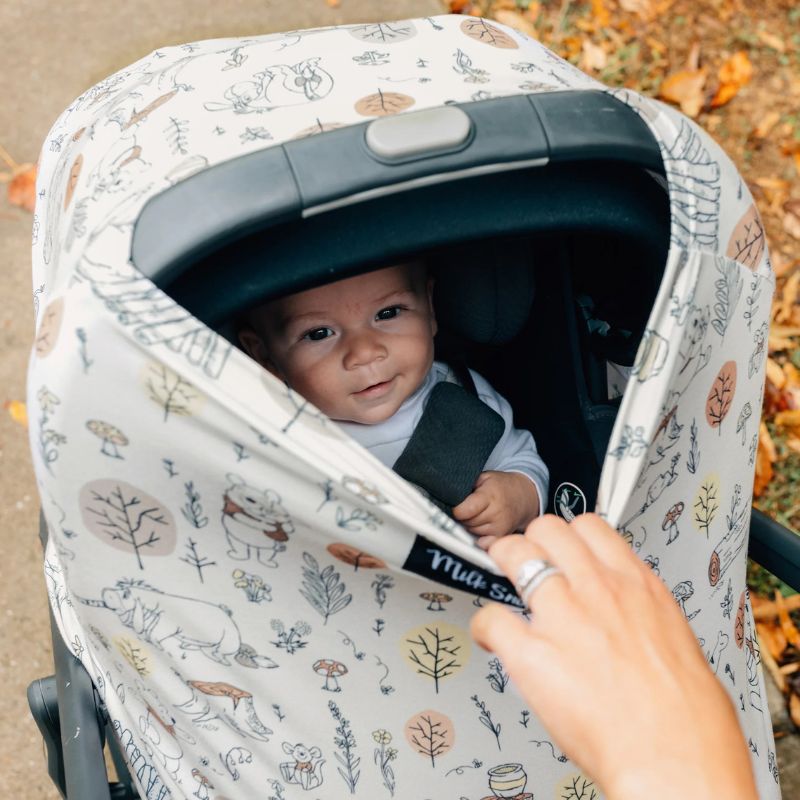 Multi-Use Disney Cover