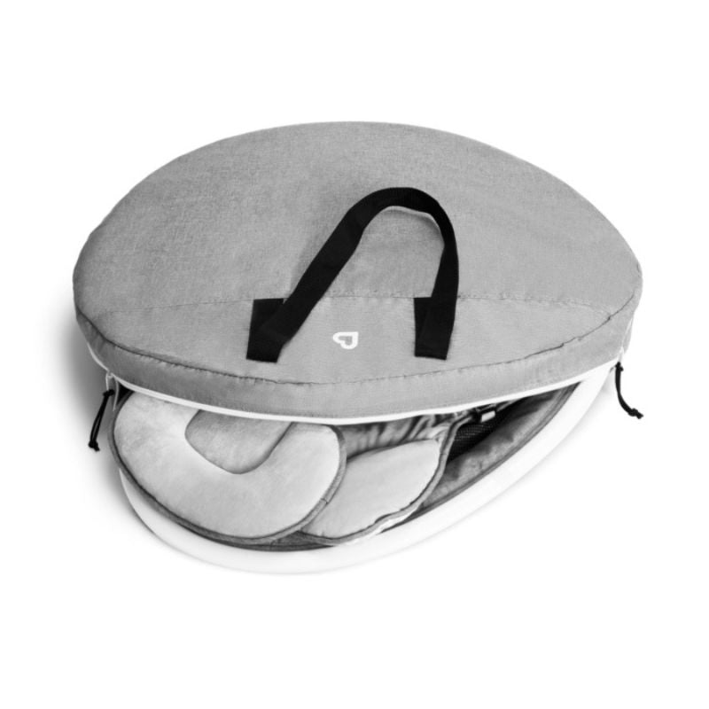 Infant SWING Travel Case