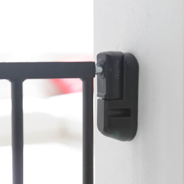 Push to Close Extending Gate