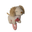 Dancing Dachshund