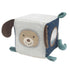 Soft Activity Cube Astro Dog