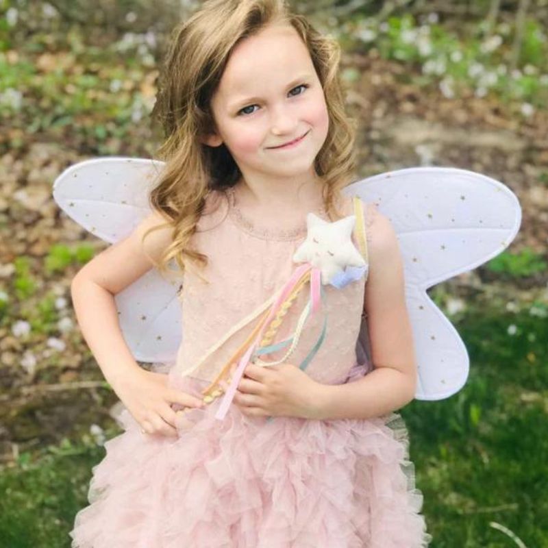Fairy Dress Up Set