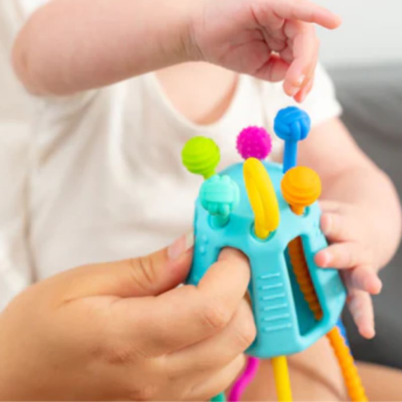 Zippee Activity Toy