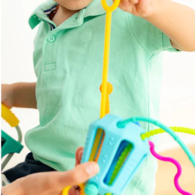 Zippee Activity Toy