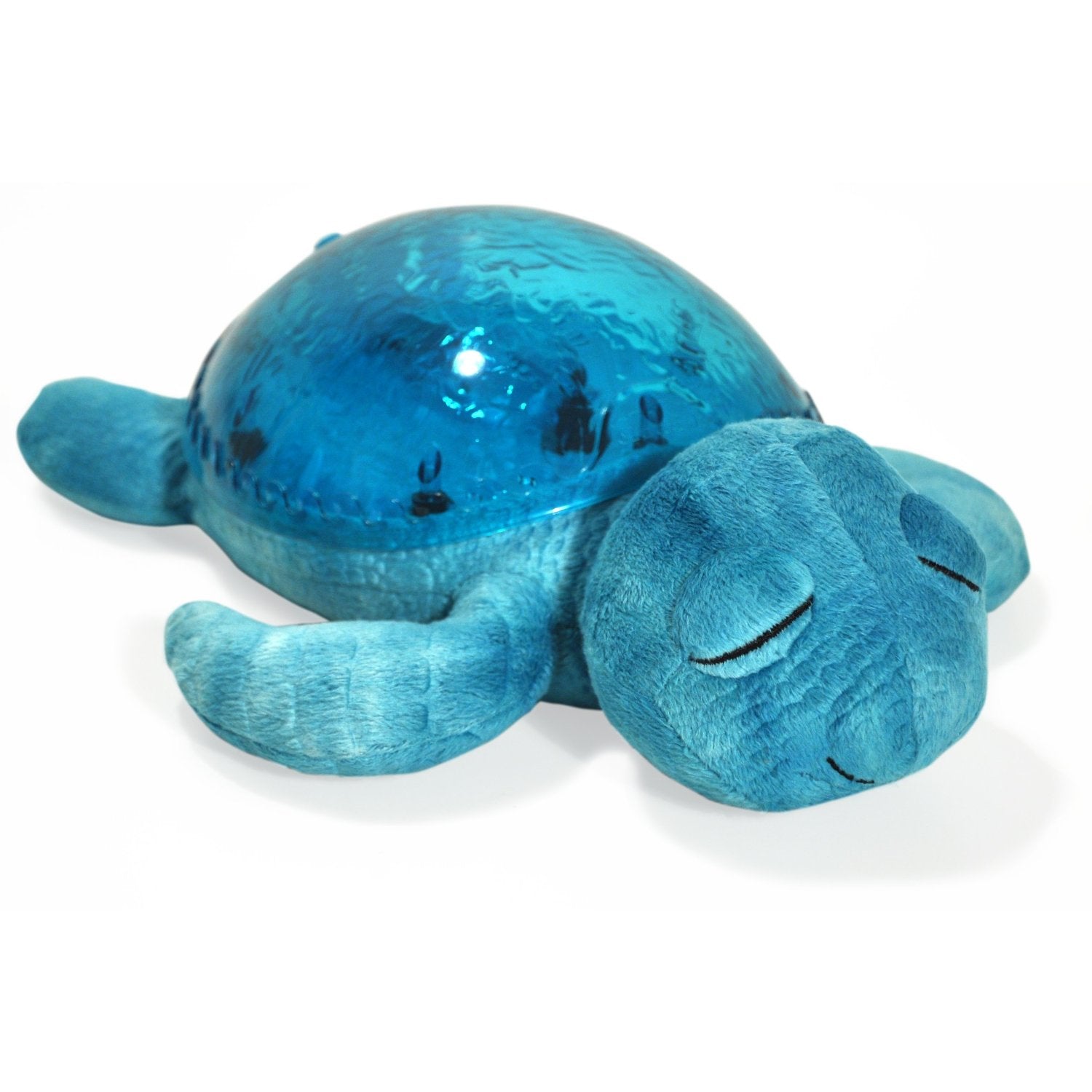 Tranquil Turtle aqua