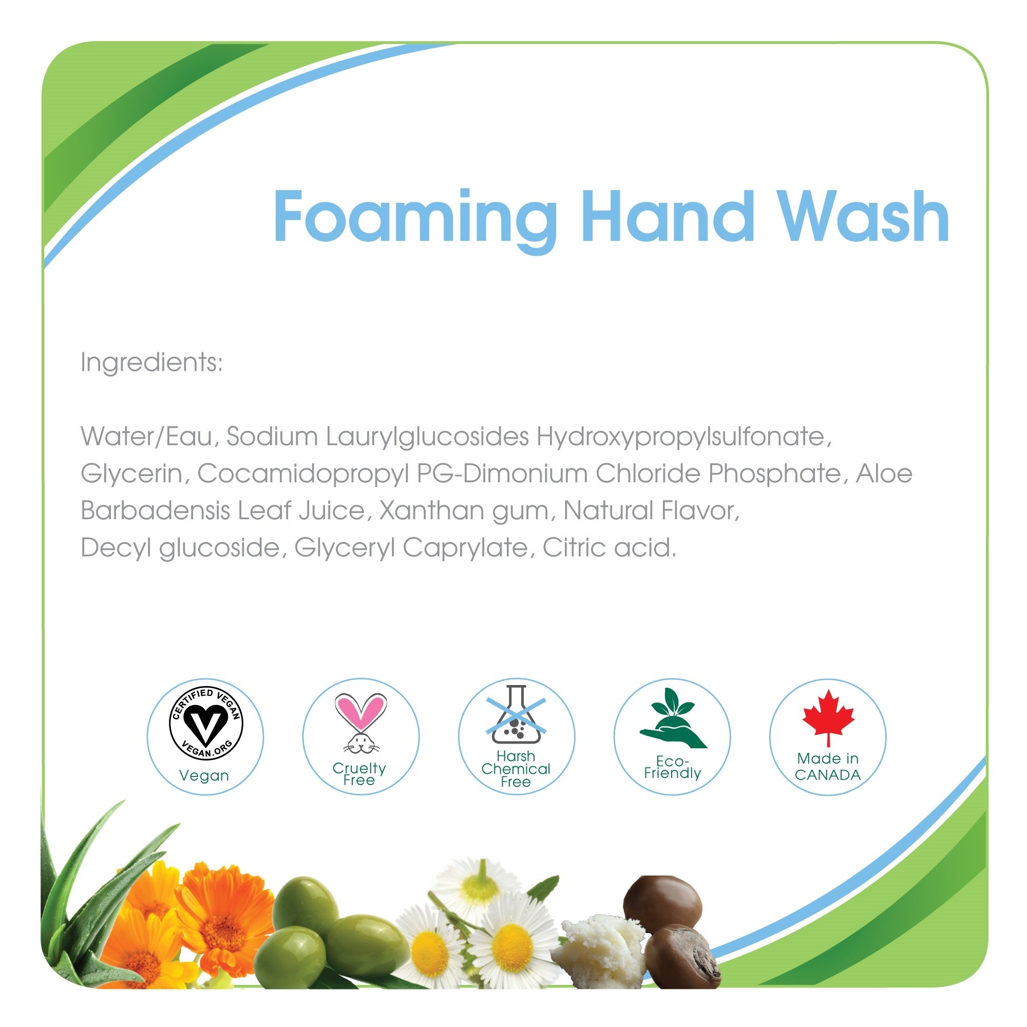 Foaming Hand Wash - 300 mL