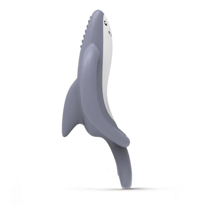 Shreddy Shark Teether