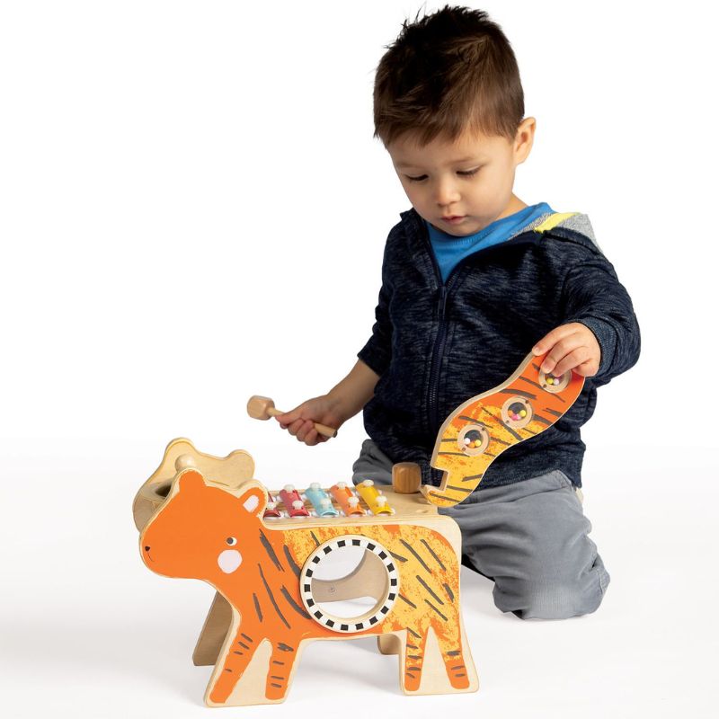 Tiger Tunes - Musical Toy